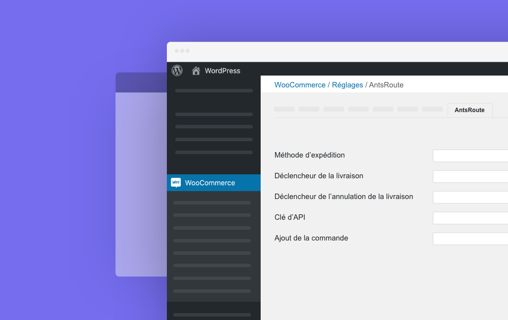 Nouveautes Module Antsroute Pour Woocommerce Antsroute