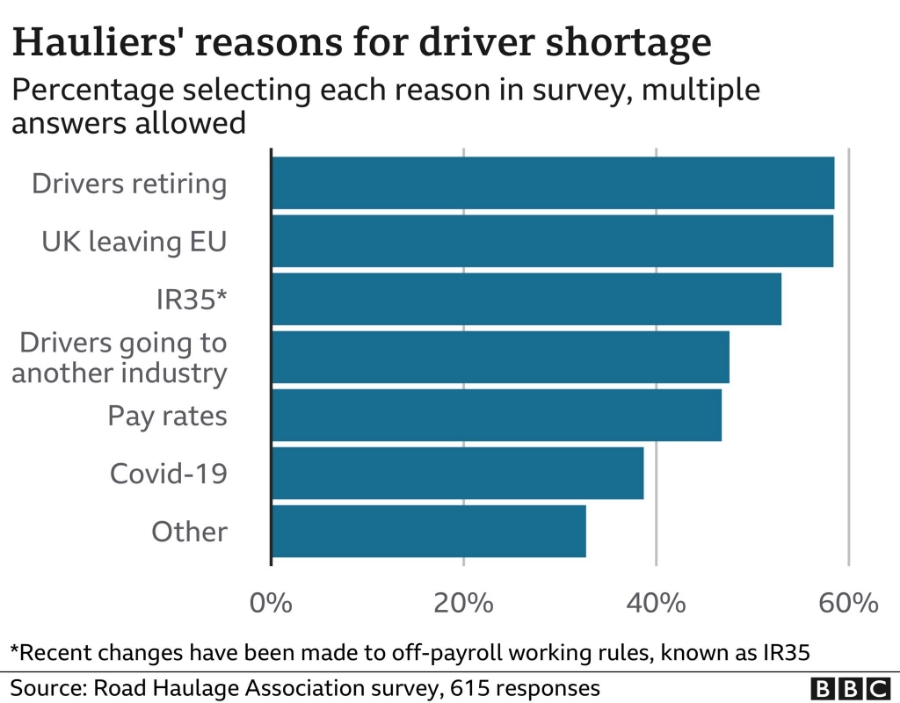 diagram showing the reasons for driver shortage in the United-Kingdom