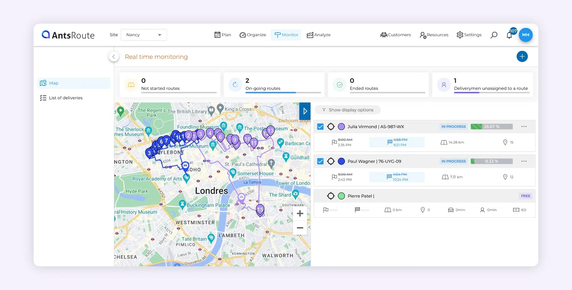 The AntsRoute software showing the tracking of two delivery routes.