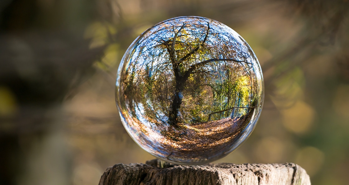 boule en verre au milieu d'une forêt