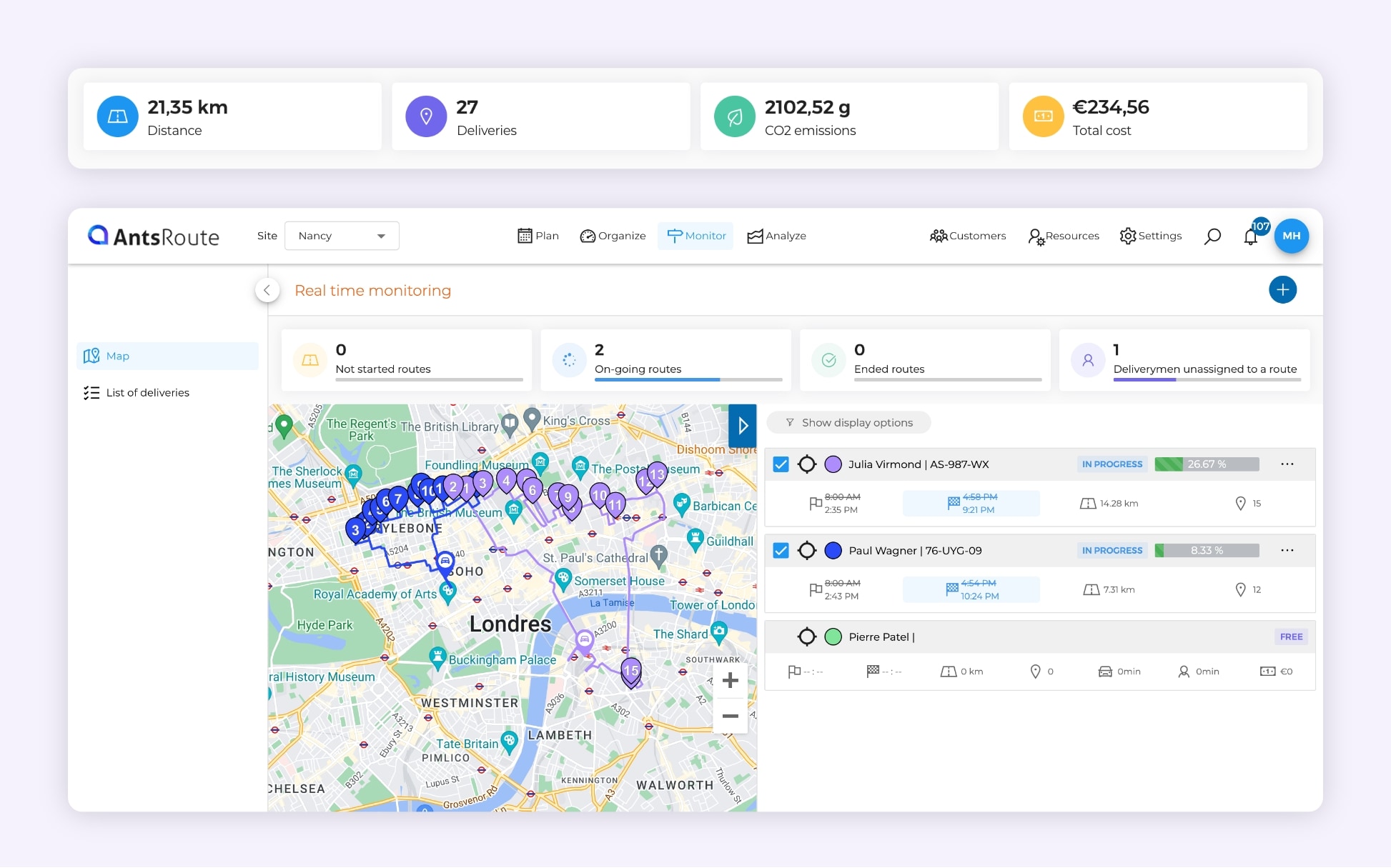 The AntsRoute platform showing two optimised delivery routes.