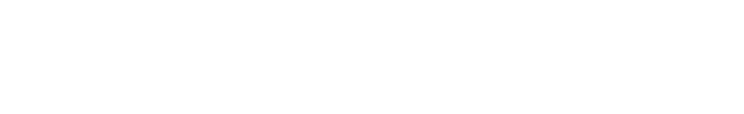 logotype_antsroute_white