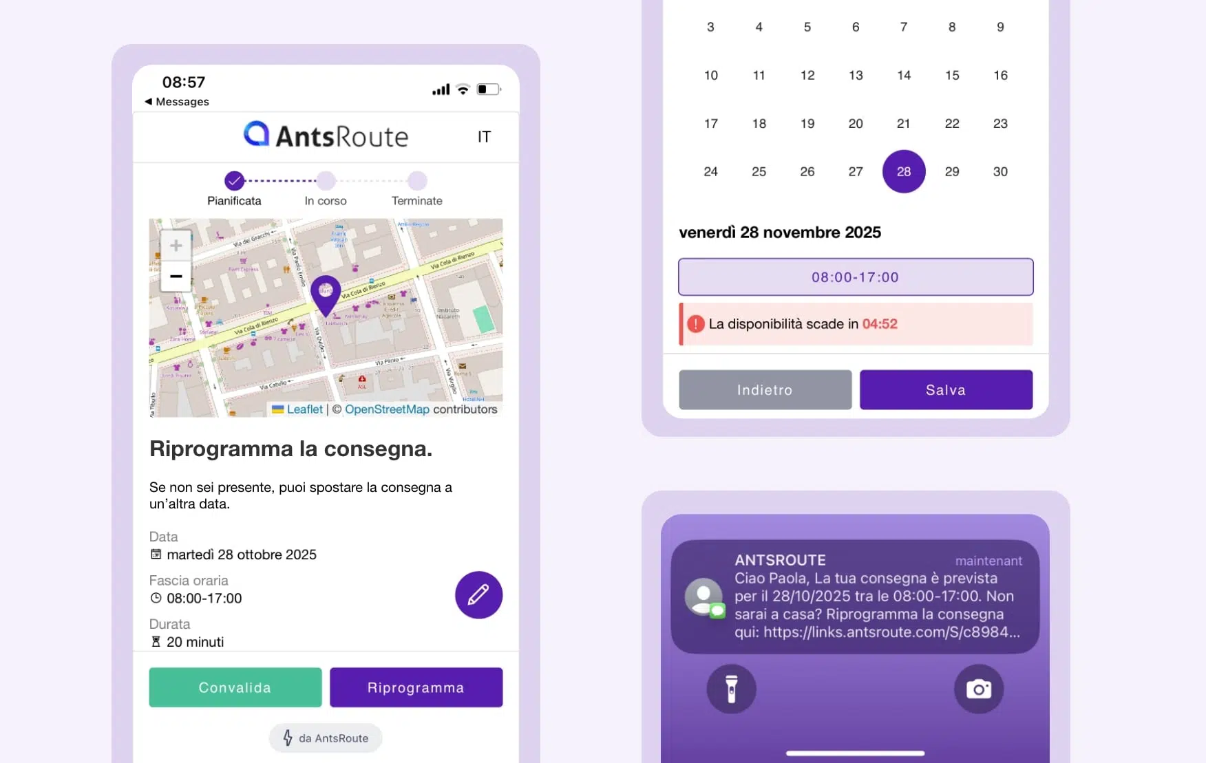 Modello di notifica di consegna inviato tramite AntsRoute con un link che permette al cliente di confermare o riprogrammare la consegna.