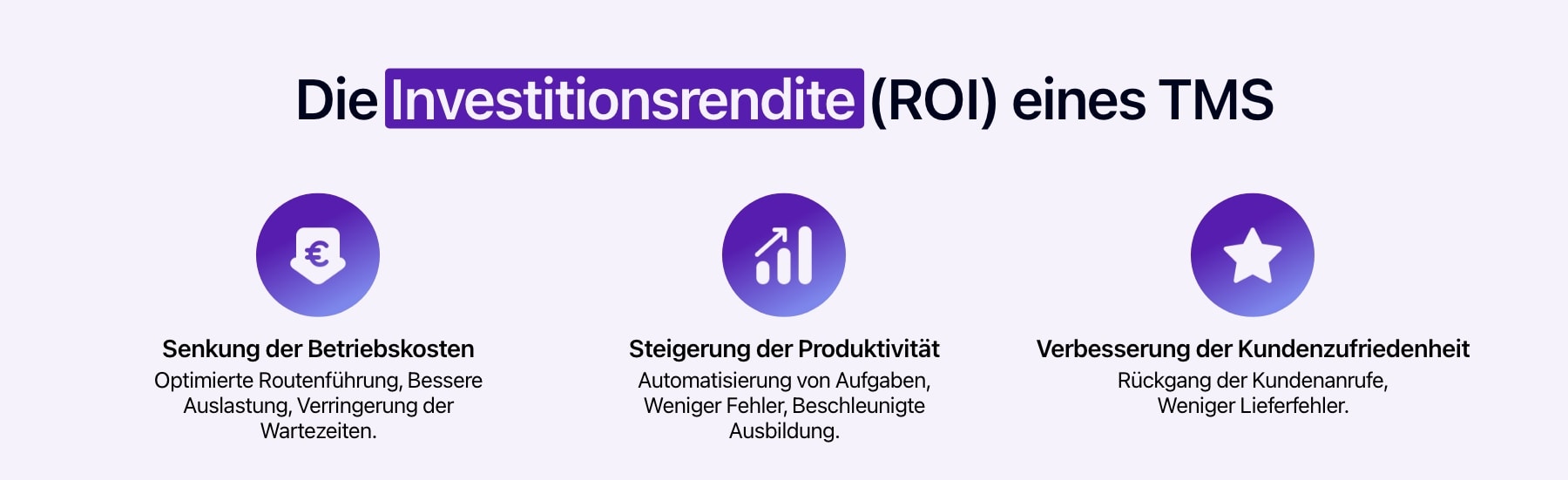 Schema mit der Darstellung der Investitionsrendite eines TMS.