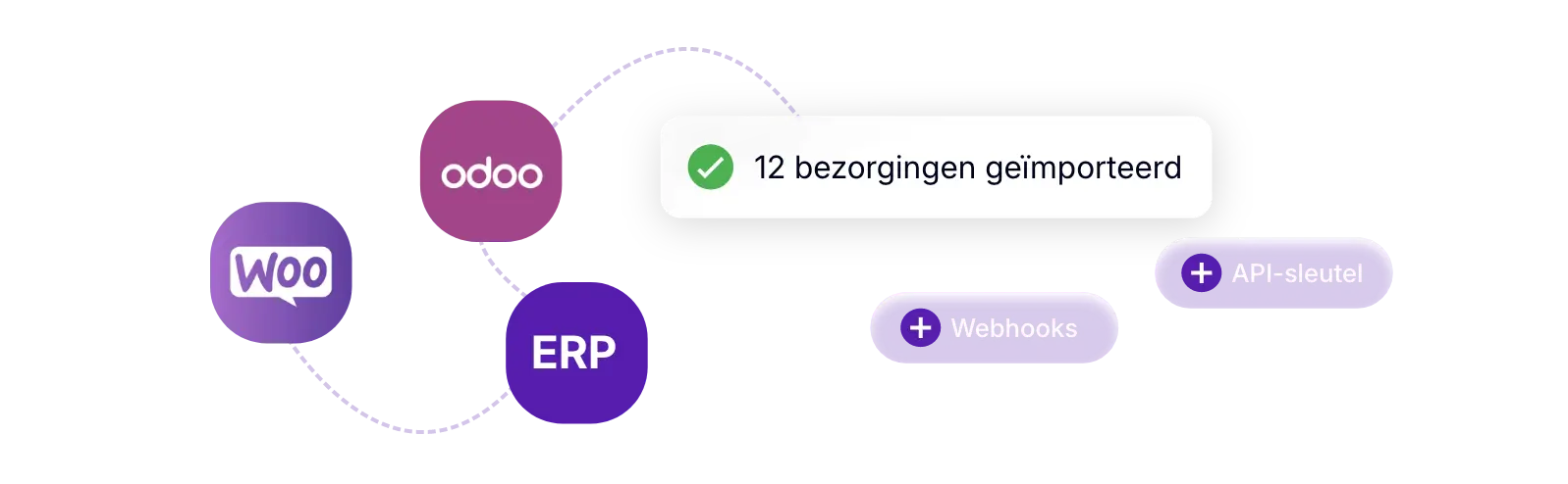 Leveringen automatisch importeren vanuit een ERP of WooCommerce via API en webhooks in AntsRoute